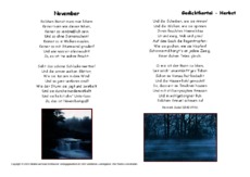 November-Seidel.pdf